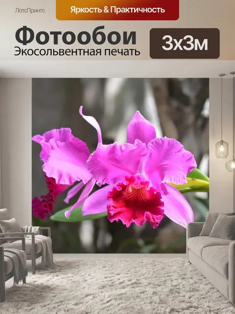 Фотообои Цветы