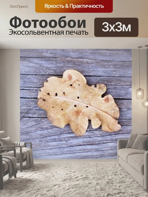Фотообои Лист