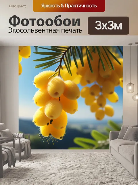 Фотообои пейзаж с мимозами легкий