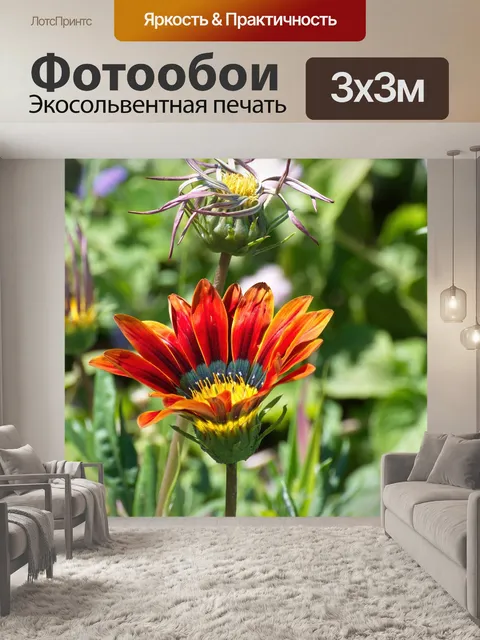 Фотообои Цветы