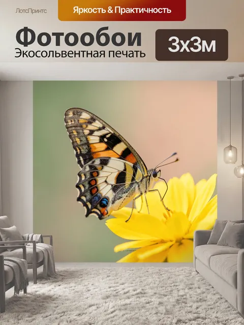 Фотообои Бабочка на жёлтом цветке