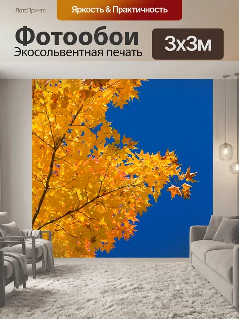 Фотообои Fall листва и голубое небо
