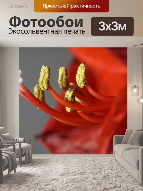 Фотообои Амариллис