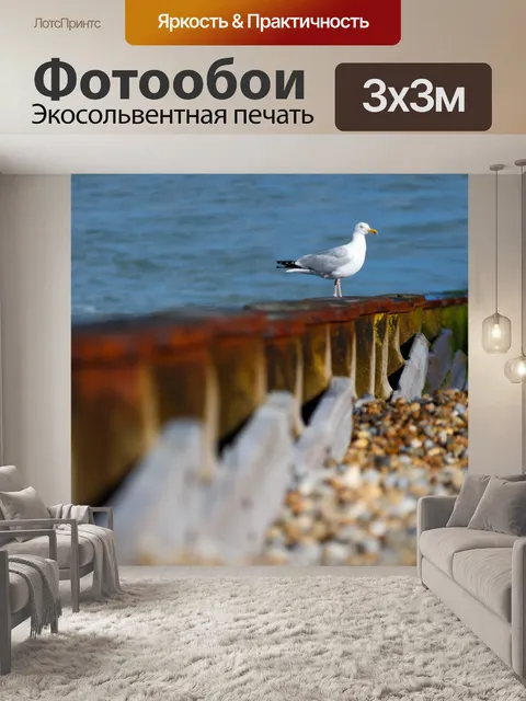 Фотообои Чайка на деревянный столб