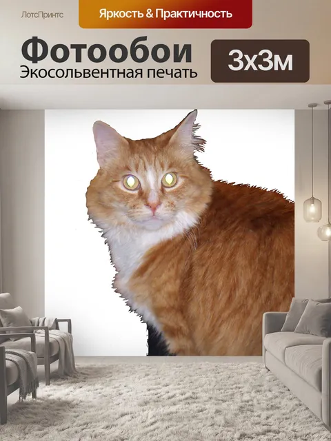 Фотообои Таинственный глаз