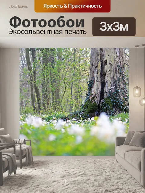 Фотообои Древесные анемоны
