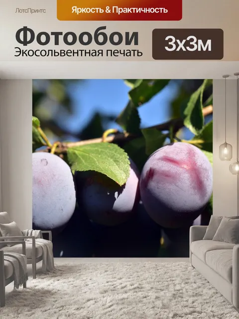 Фотообои Слива