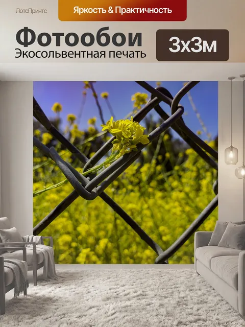 Фотообои Маленькие желтые полевые цветы