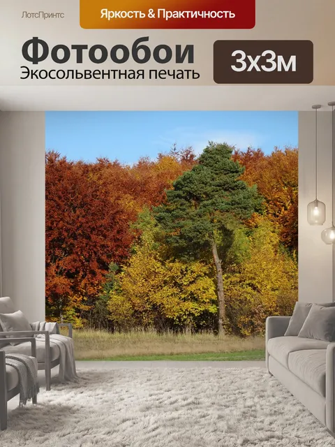 Фотообои Деревья