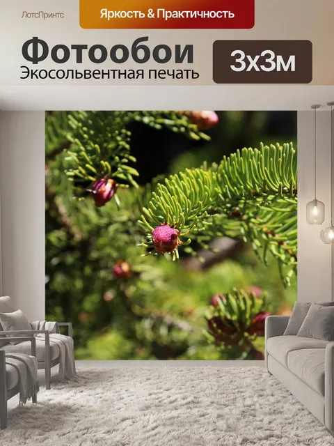 Фотообои Лес