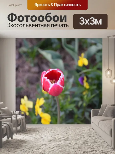 Фотообои Лили