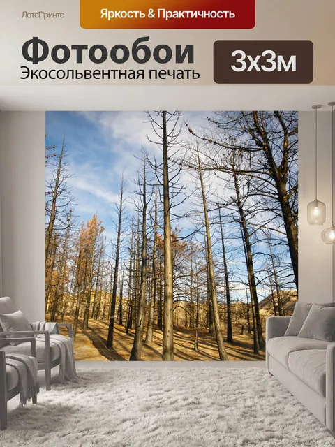 Фотообои Деревья в Сожженный лес