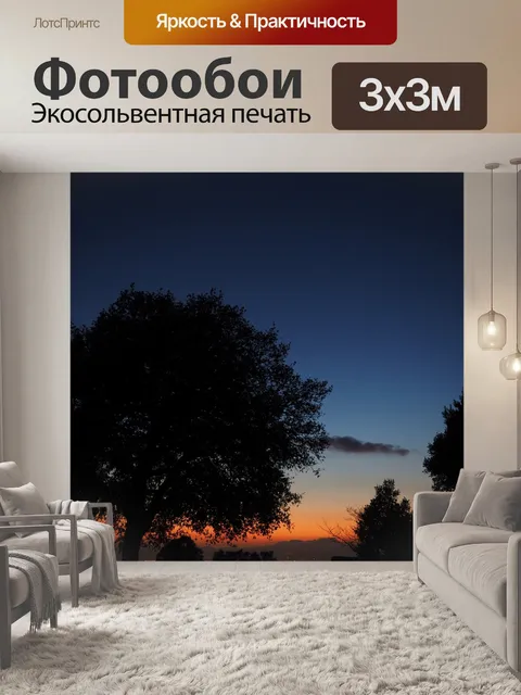 Фотообои Дерево