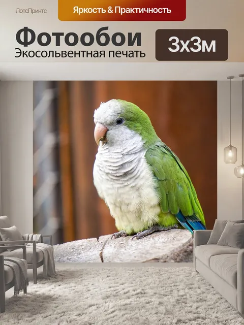 Фотообои Птица