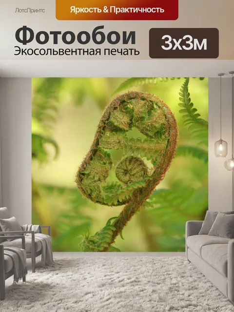 Фотообои Папоротник