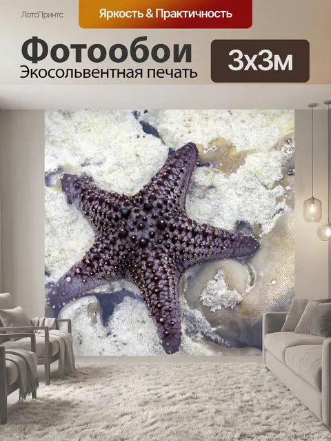Фотообои морская звезда