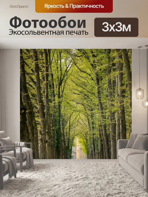 Фотообои Лес