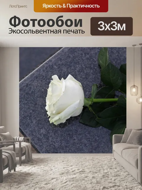Фотообои Белая роза