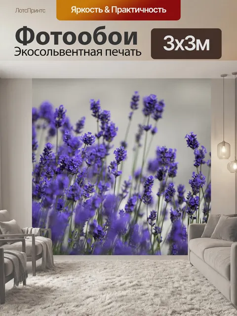 Фотообои лаванда
