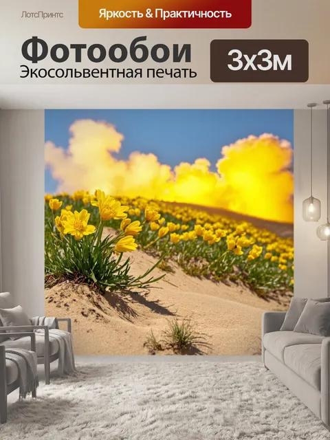 Фотообои ожидание весны: природа готовится к весне, где желтые цветы песчаного холма взрываются цветом