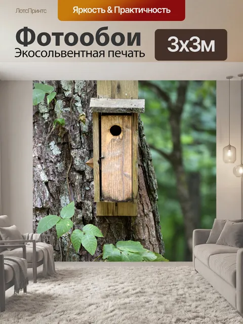 Фотообои Птица дом на дереве