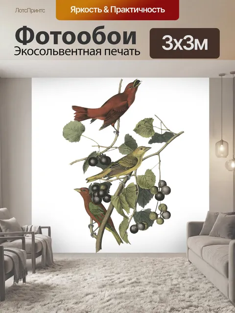 Фотообои Птица