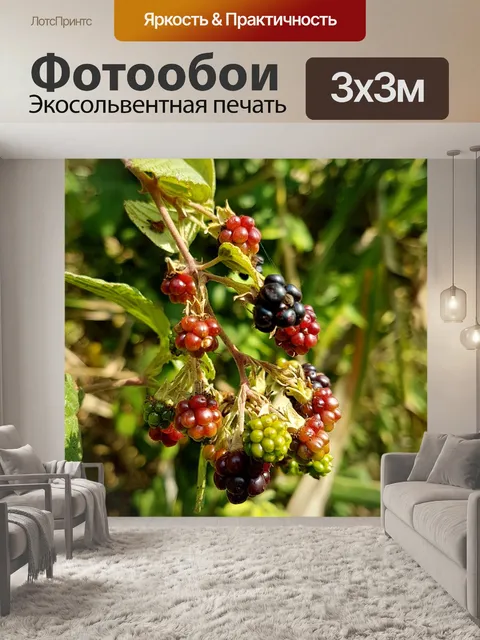 Фотообои Ягода