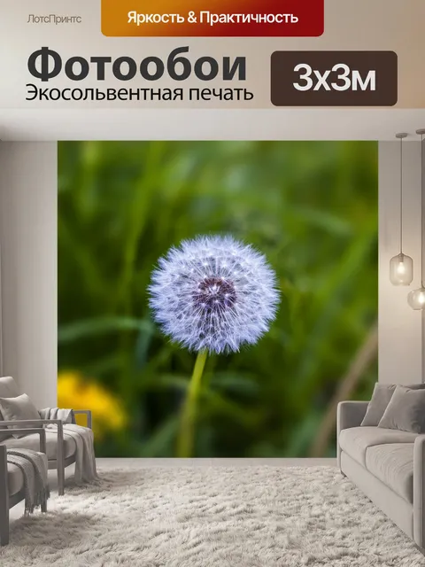 Фотообои Одуванчик