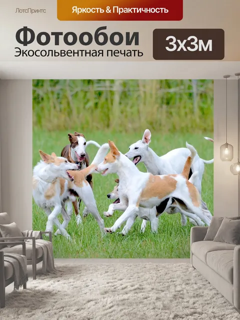 Фотообои Веселье