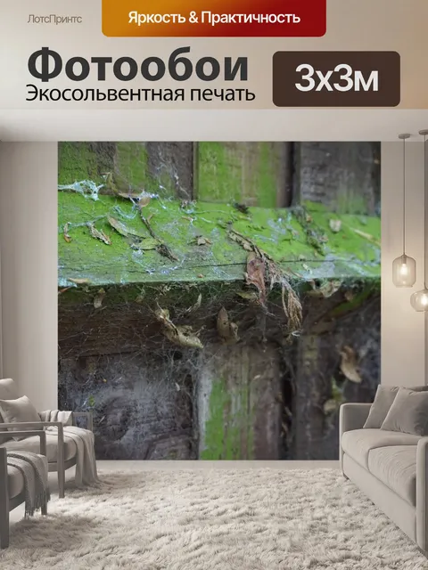 Фотообои Листья