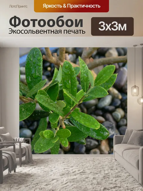 Фотообои Листья