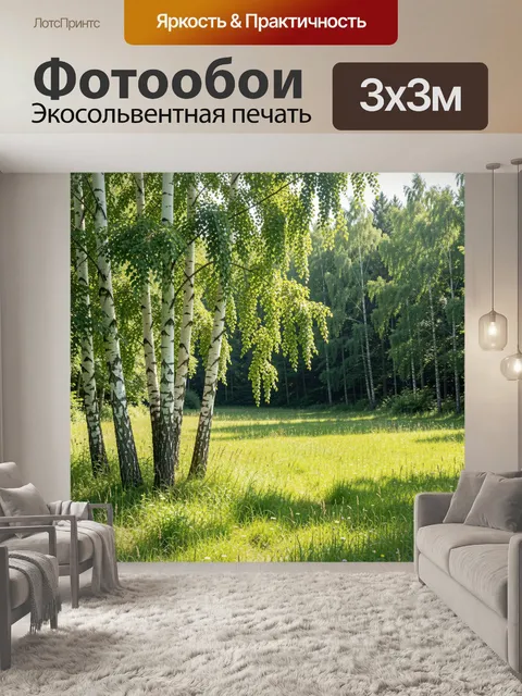 Фотообои Березовая роща на солнечной поляне