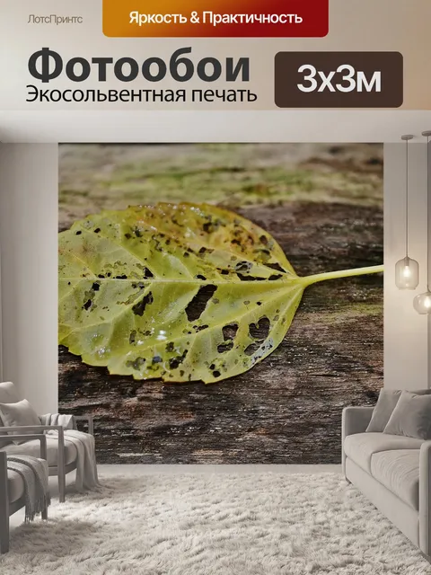 Фотообои Лист