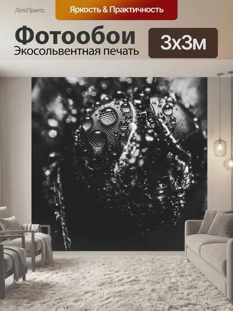Фотообои Жемчужина