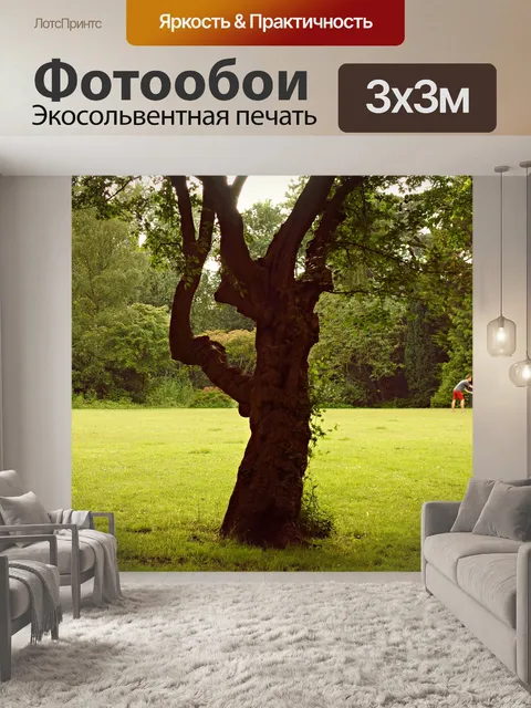 Фотообои Парк