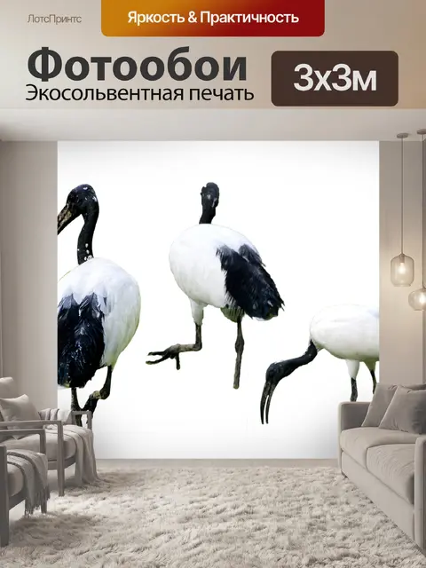 Фотообои Птицы