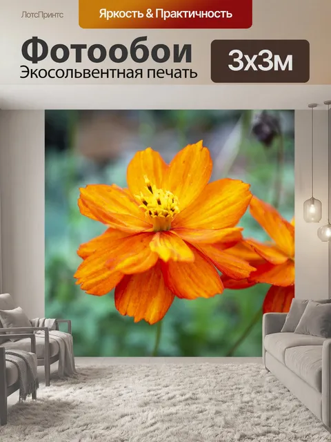 Фотообои Цветы