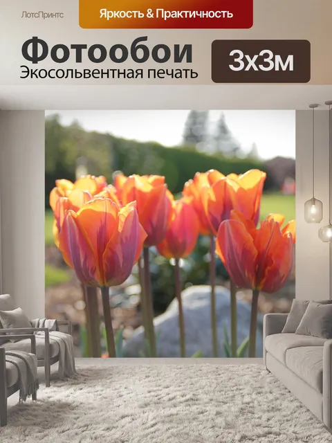 Фотообои Природа