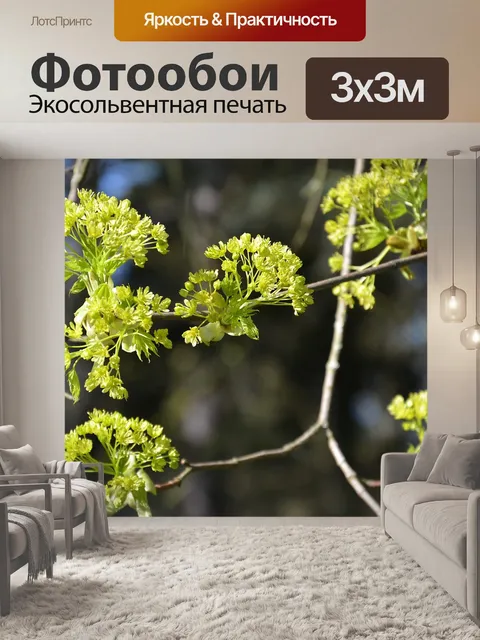 Фотообои Цветы