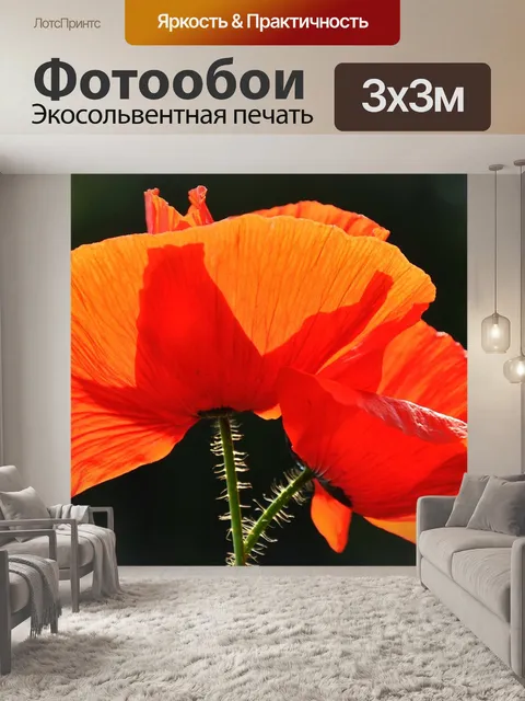 Фотообои Весна