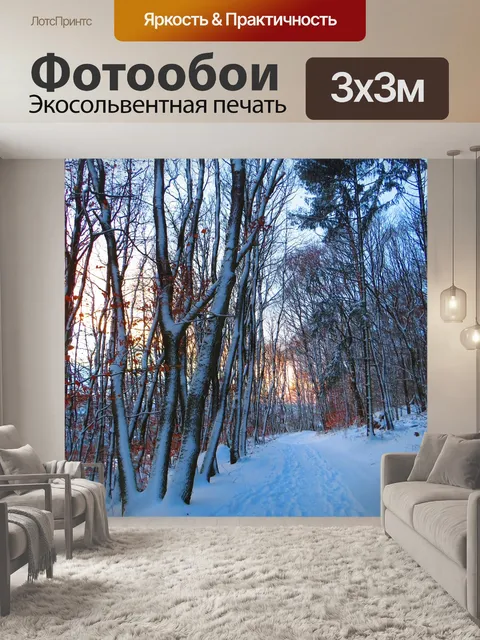 Фотообои Лес