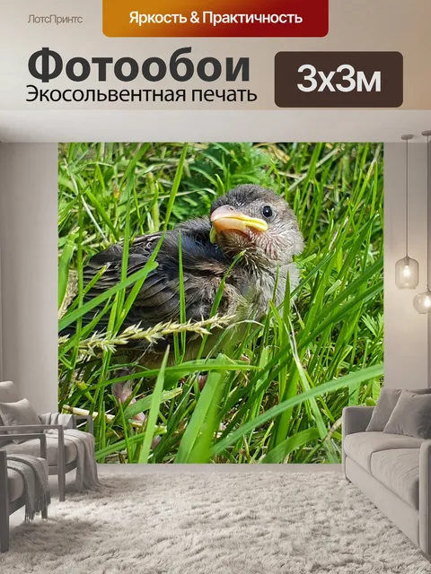 Фотообои молодой