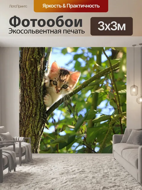 Фотообои Кошка