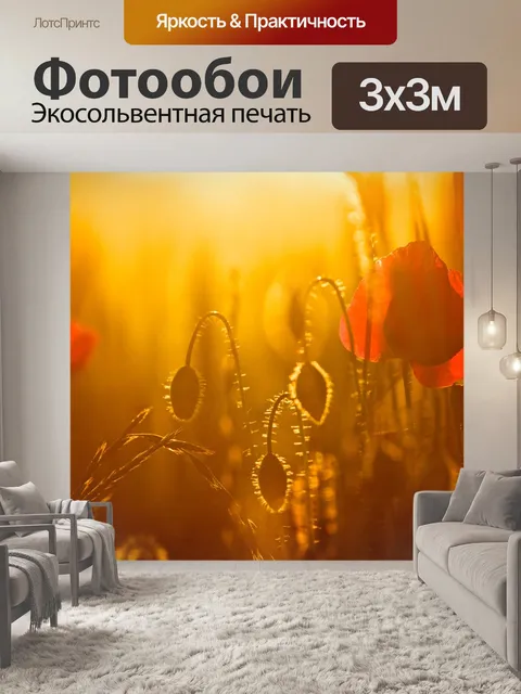 Фотообои Закат