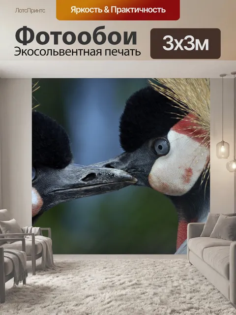 Фотообои Венценосные журавли