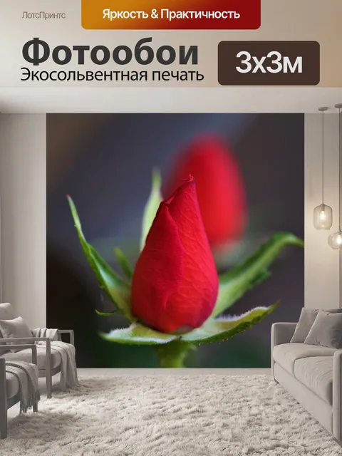 Фотообои Цветок