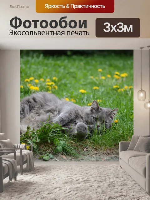 Фотообои Кошка