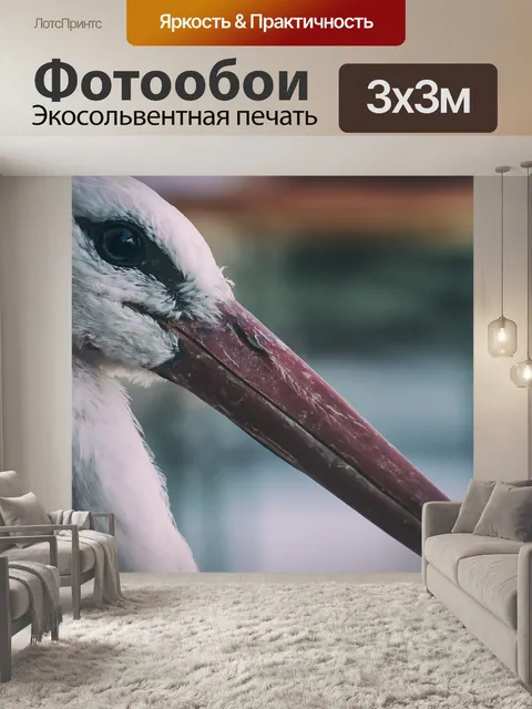 Фотообои Аист