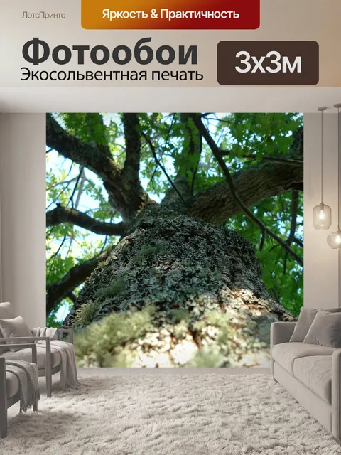 Фотообои Chene