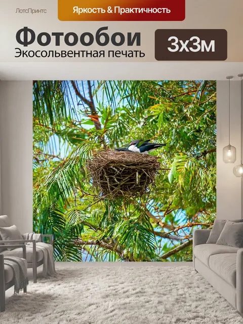 Фотообои тропики, гнездование в кронах деревьев, звуки пения птиц радуют уши, под солнцем сверкают листья, момент…